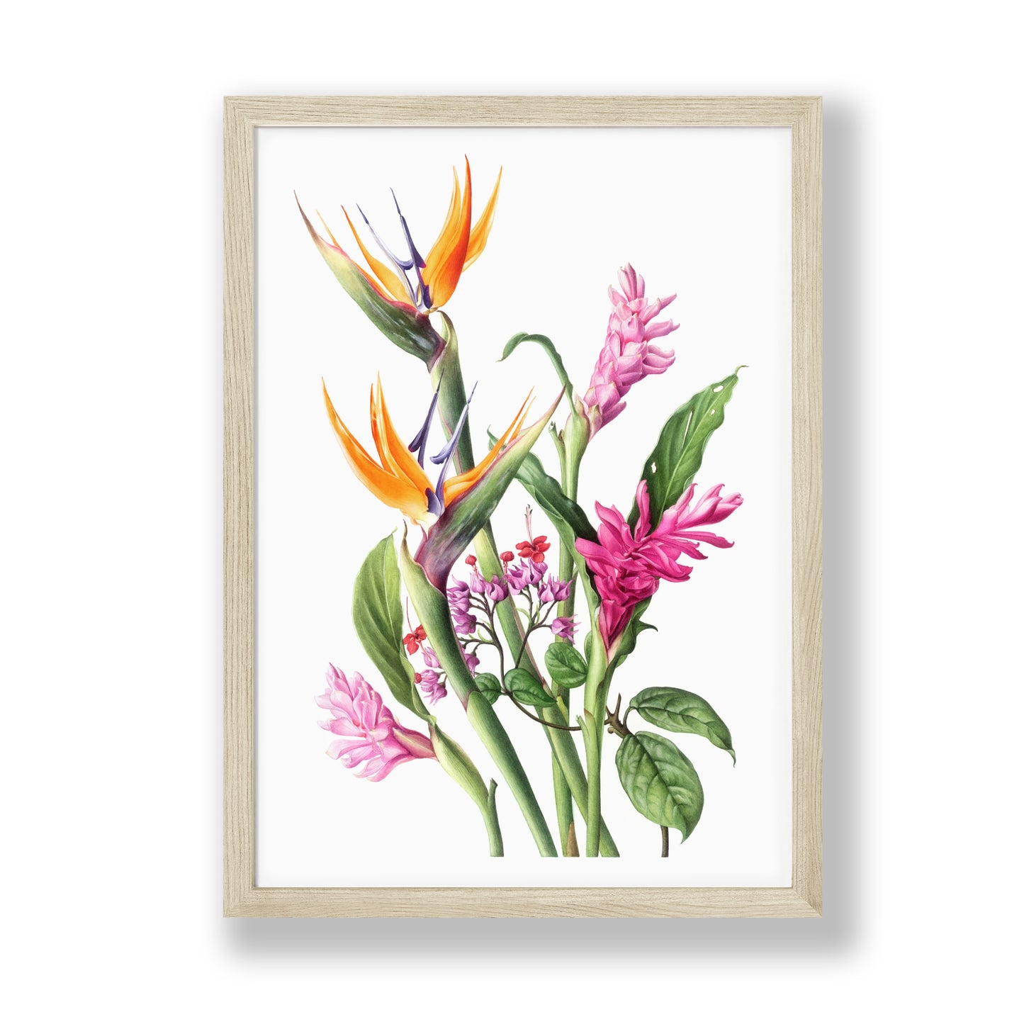 Tropical mixed florals botanical art print in frame by Sunanda Widel Artistic Nature