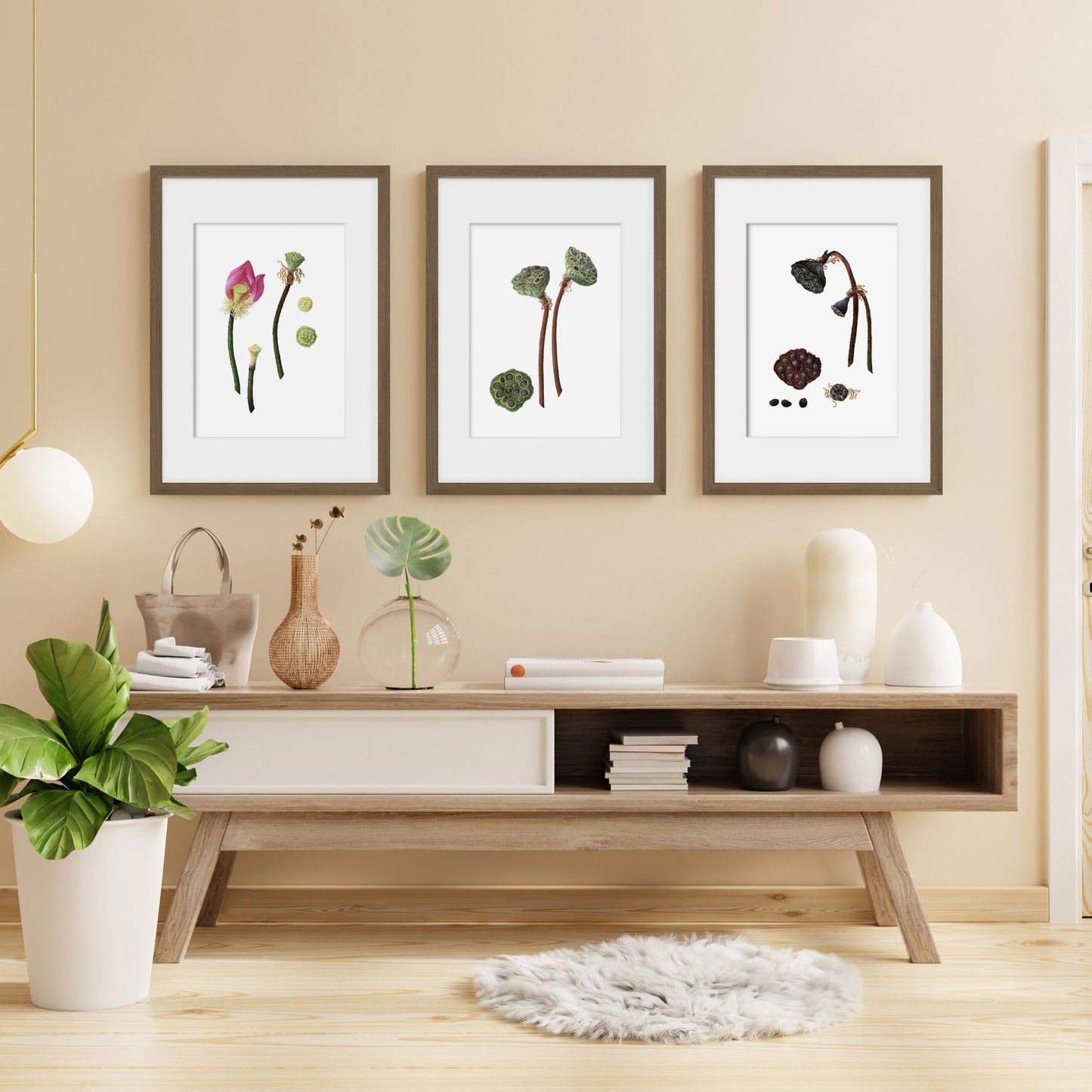 3 Lotus Botanical Art prints sold in a set