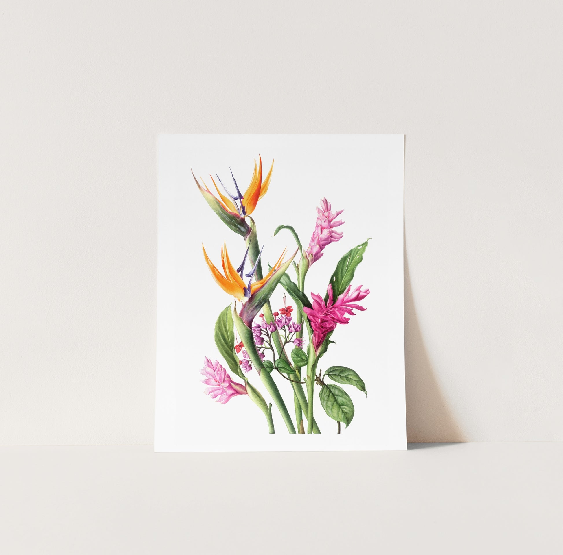 Tropical colourful floral botanical art print by Sunanda Widel Artistic Nature