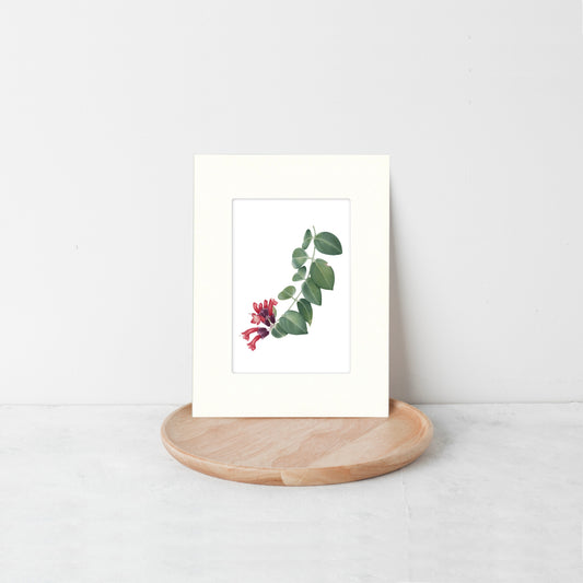 Lipstick Plant Botanical Art Greeting Card