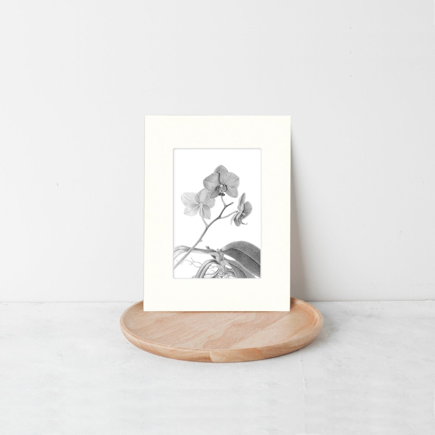 Orchid Botanical Art Greeting Card