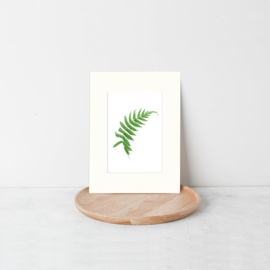 Fern botanical art print card. Nature inspired card with envelope by Kelly Bassett