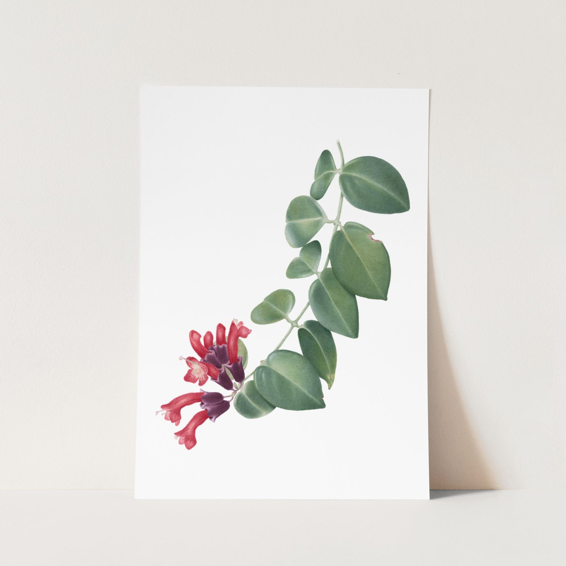 Lipstick plant art print