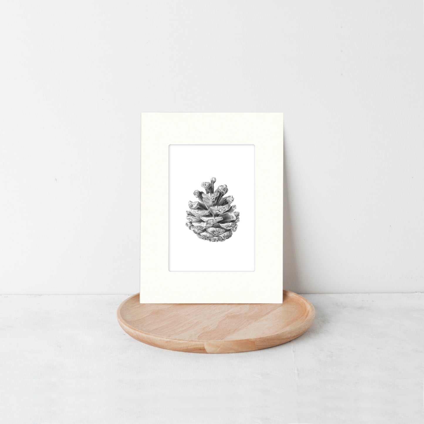 Pine Cone Botanical Art Print Card by Kelly Bassett