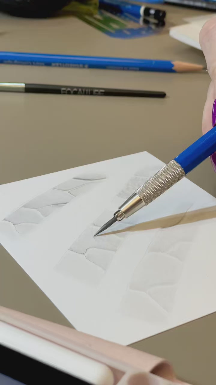 Load video: Kelly Bassett demonstrates how to create veins and texture using graphite pencil in botanical artwork